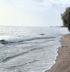 Calm sea and a sandy beach seen from under a wooden beach shelter, with a tree at the water’s edge