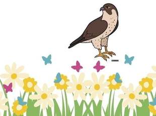 A peregrine falcon above a meadow of daisies and butterflies, from the Harbs Collective Teddy Trail 2023 story sheet